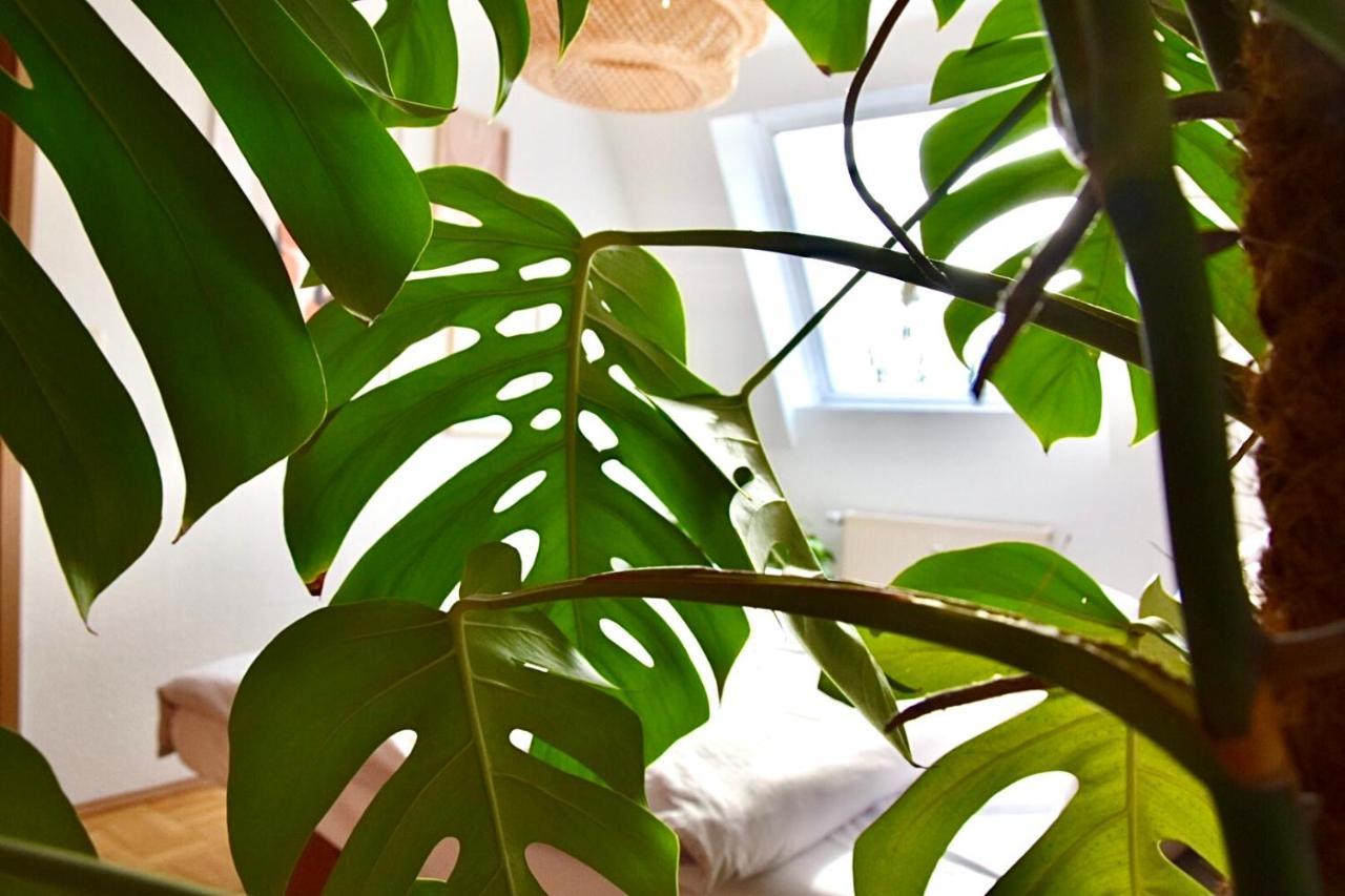 אסן Greenbnbs: Cozy Urban Jungle In The City Centre מראה חיצוני תמונה
