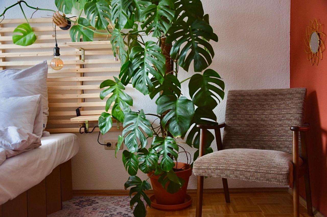 אסן Greenbnbs: Cozy Urban Jungle In The City Centre מראה חיצוני תמונה