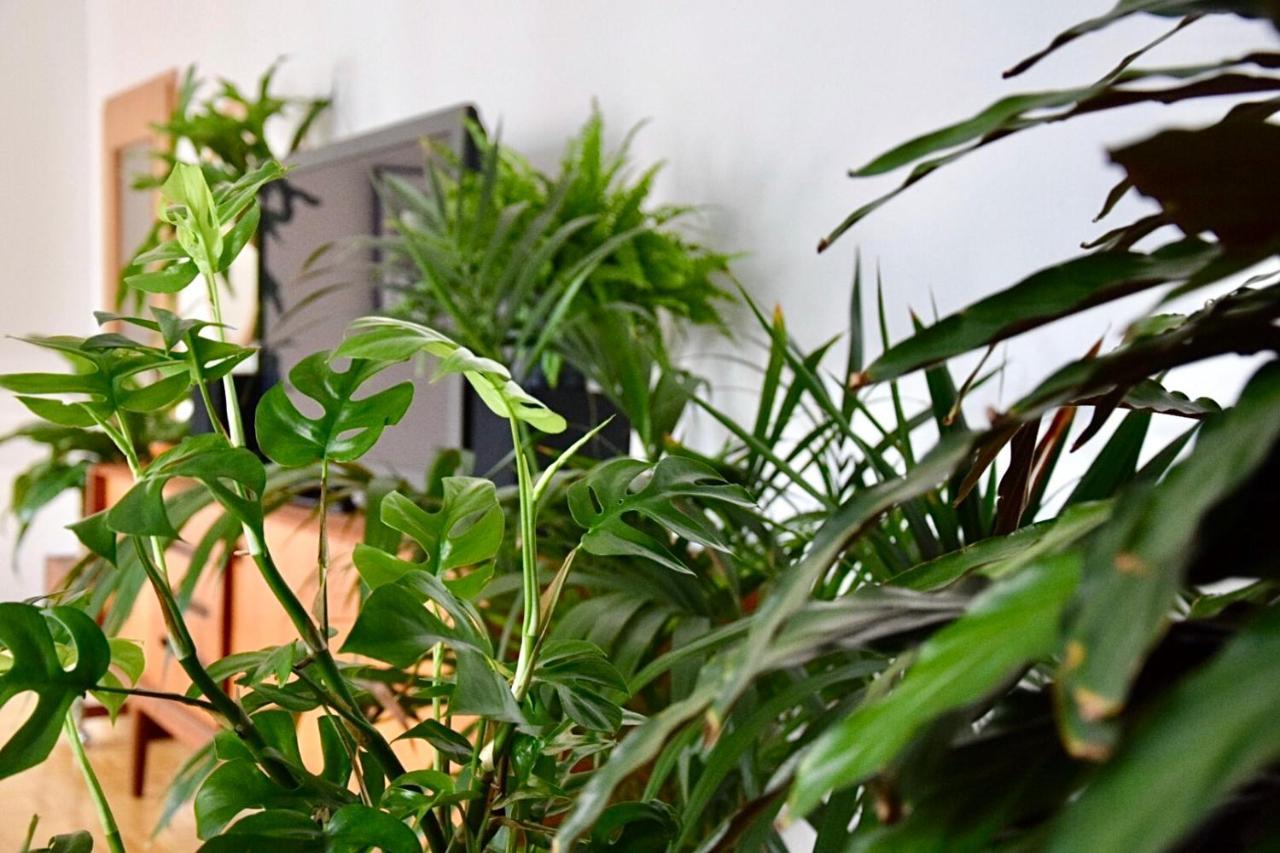 אסן Greenbnbs: Cozy Urban Jungle In The City Centre מראה חיצוני תמונה