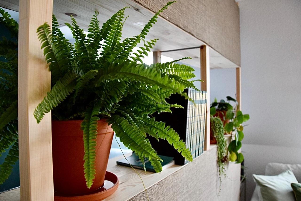 אסן Greenbnbs: Cozy Urban Jungle In The City Centre מראה חיצוני תמונה